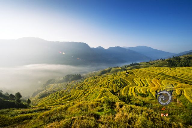 加榜梯田