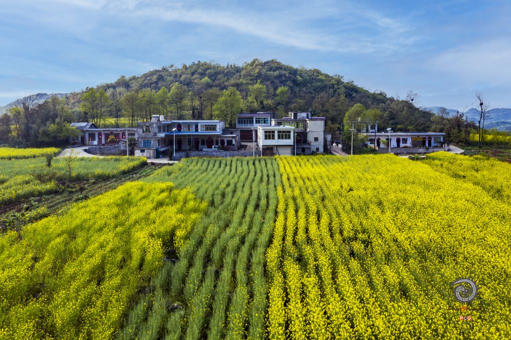 面向春天的村落