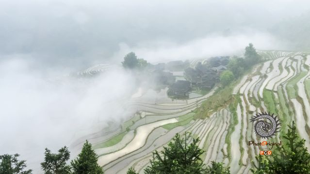 云雾加榜