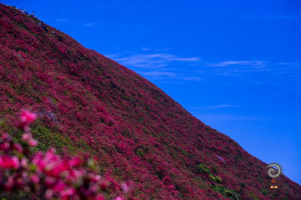 等到山顶红了