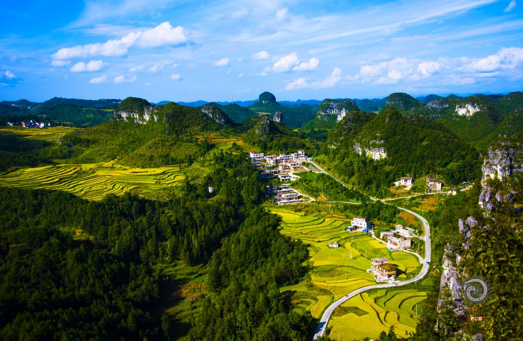 美丽乡村 致富路 谢党恩