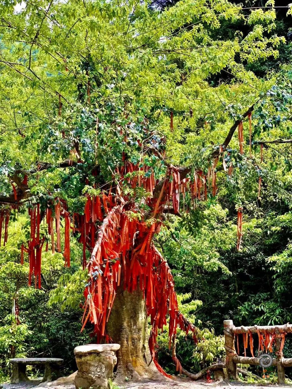 西江千户苗寨