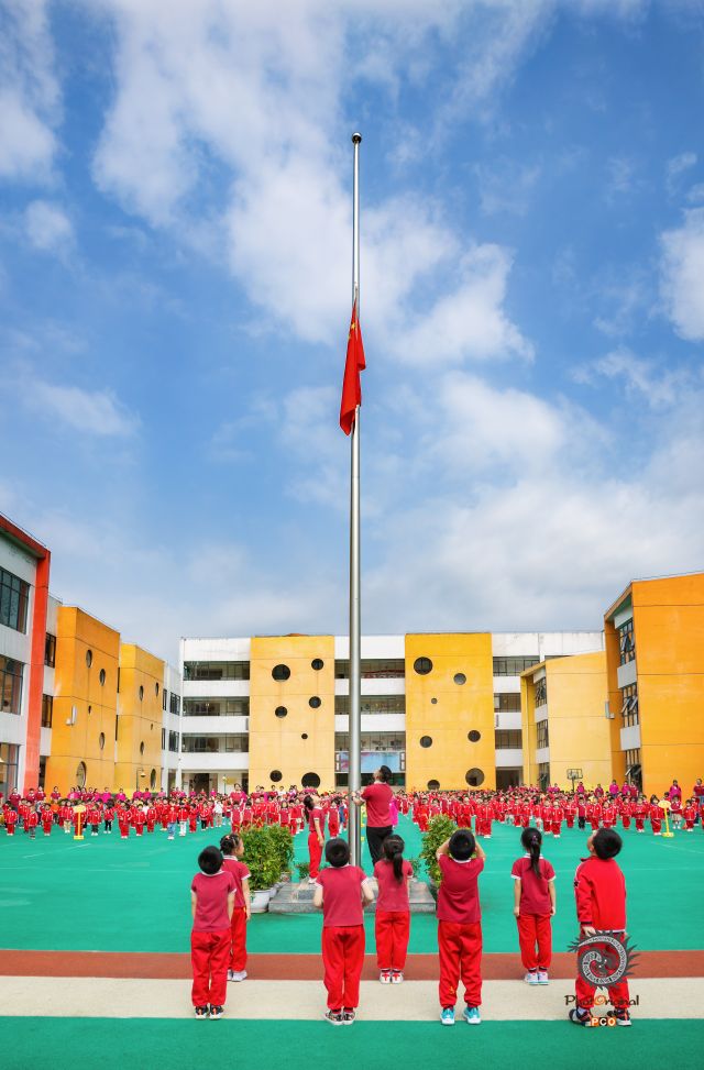 长在红旗下