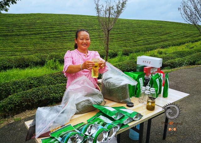 《请喝我家生态茶》