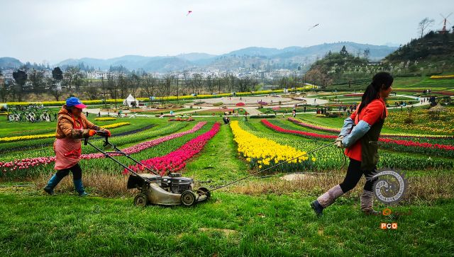 《花谷美容》