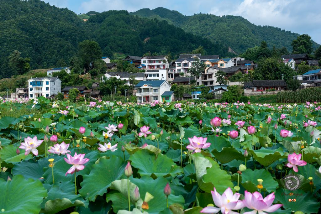 美丽乡村