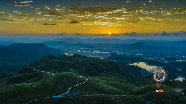 《茶山晨曦》