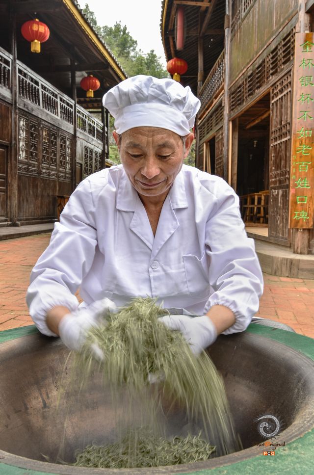 《炒  茶》