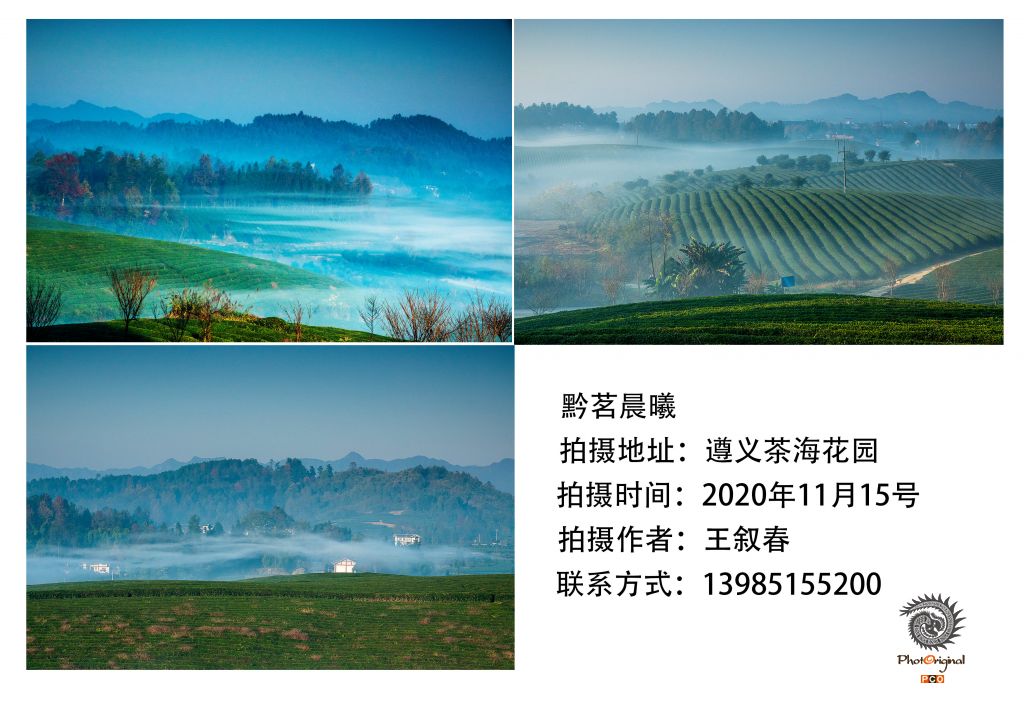 黔茗晨曦