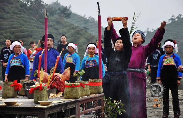 祭茶神