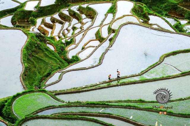 山水之间