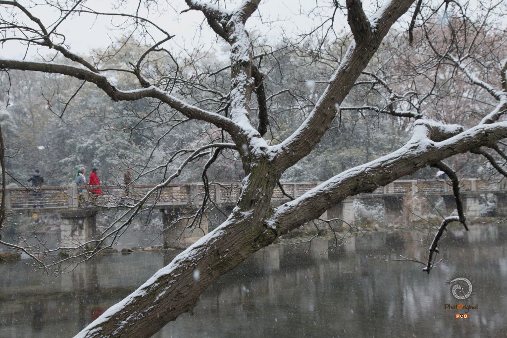 花溪初雪