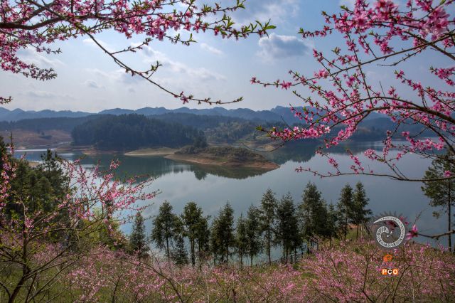 舞阳湖春色