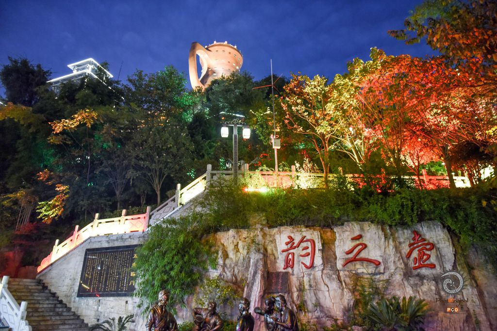 茶之香，壶之韵（组照）