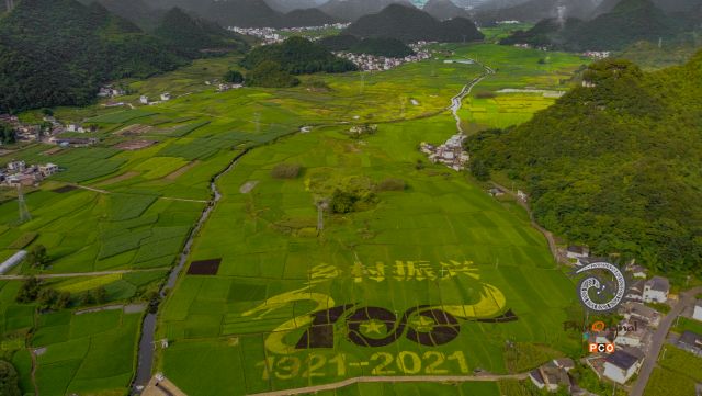 稻田画振兴