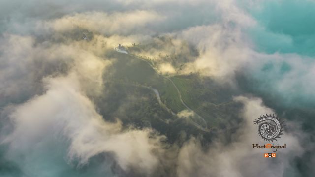 雾锁茶山