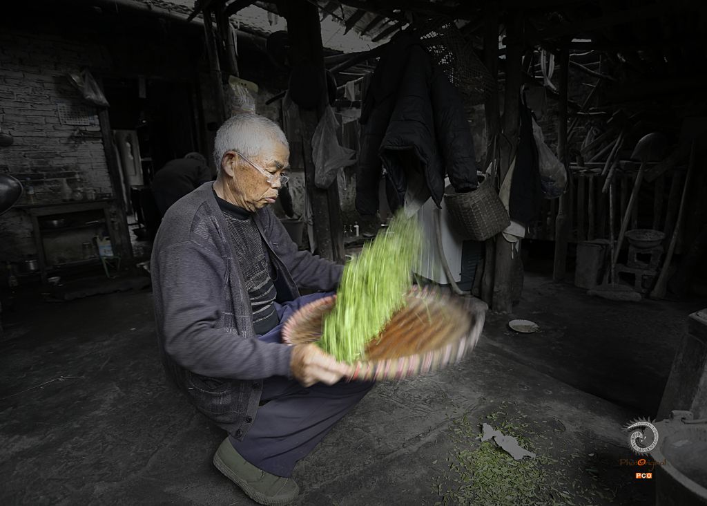 传统制茶（非专业组）（人文类）