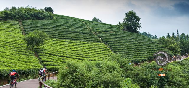 茶山骑行