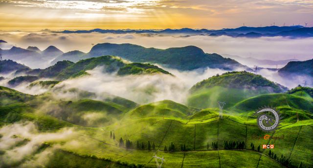 《雾绕茶海》