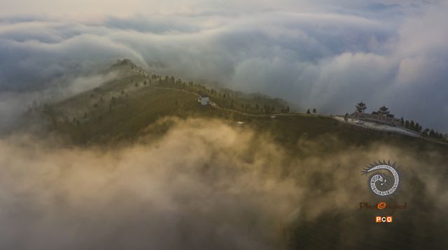 茶山晨雾