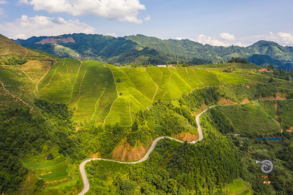 贵州省丹寨县硒锌茶科技园
