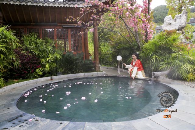 樱花池