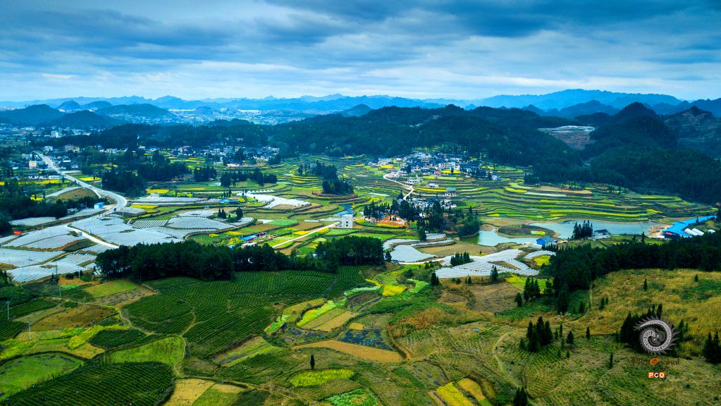 大地调色板