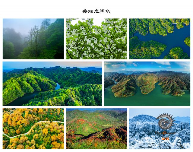 美丽宽阔水（组照）