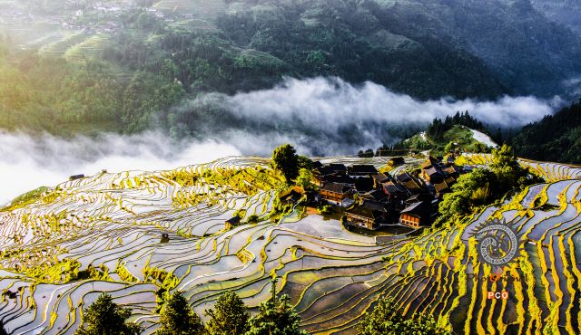 金色山乡