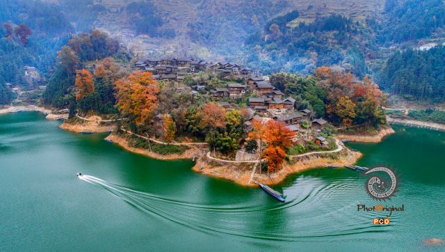 《水乡巫沙村秋色》
