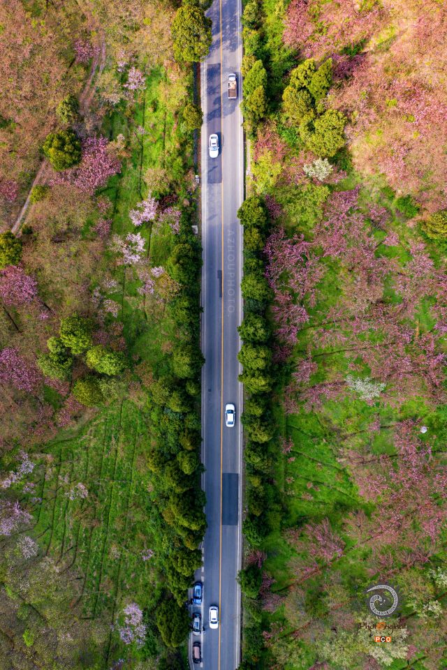 贵黄公路春天朝霞