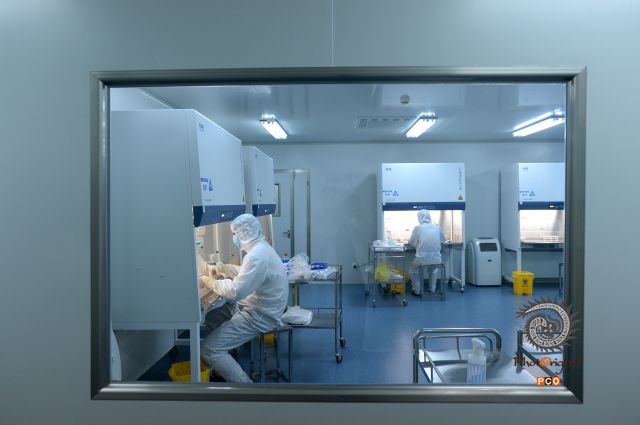 贵州泛特尔细胞生物技术有限公司