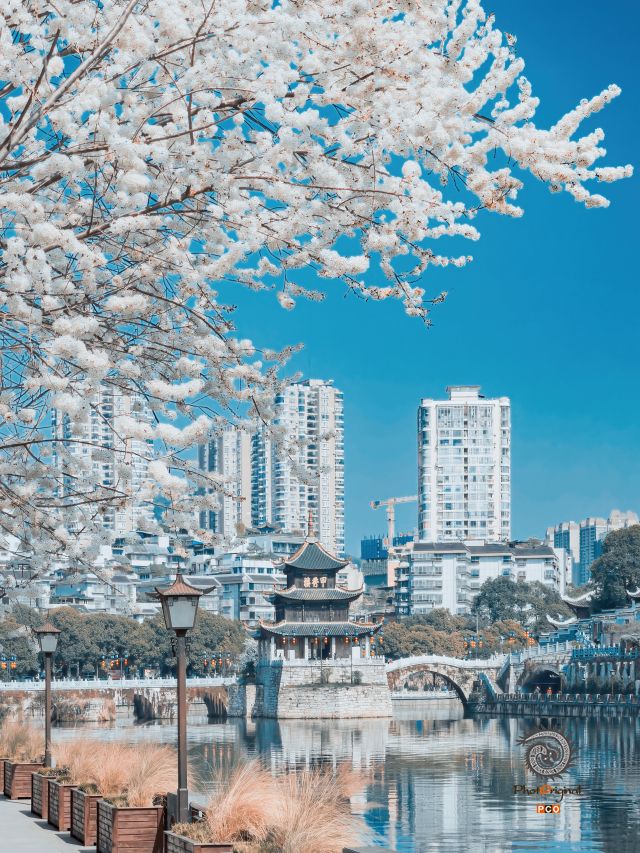 甲秀春色