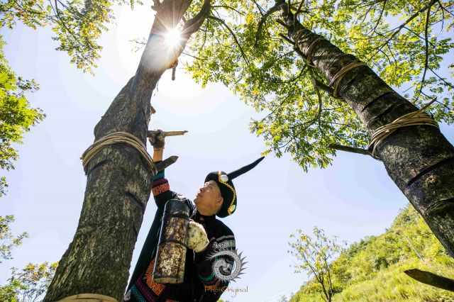 割漆人