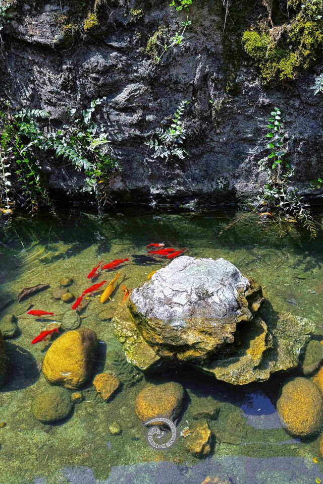 高华瑶寨