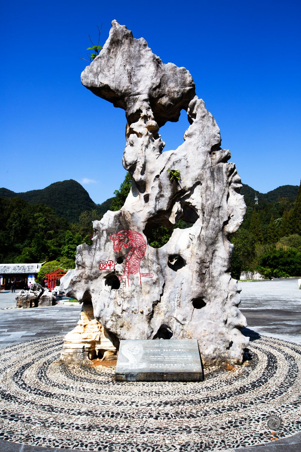 安顺龙宫