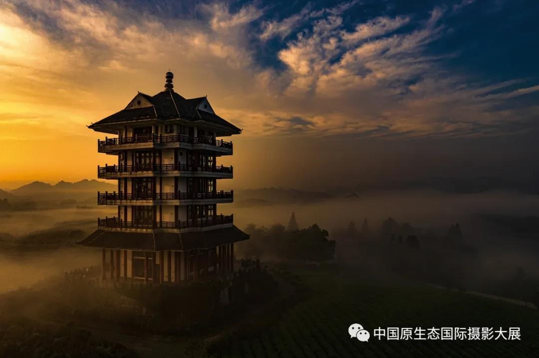 贵州摄影人 | 看得见的是茶，看不见的，也是茶