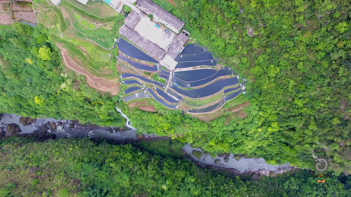 92419879af09b196d1e9c07cd2e0b671