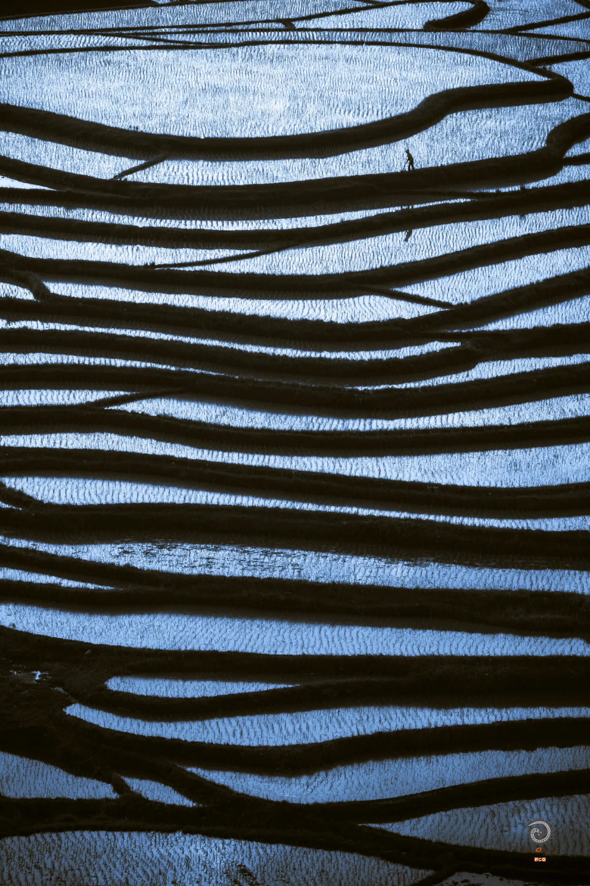 e704459829ecb11cf27e3f1aafc12ea9