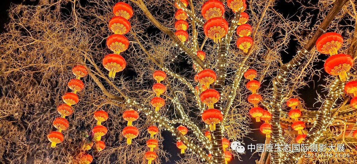 元宵之夜，一起来品尝这春节年味
