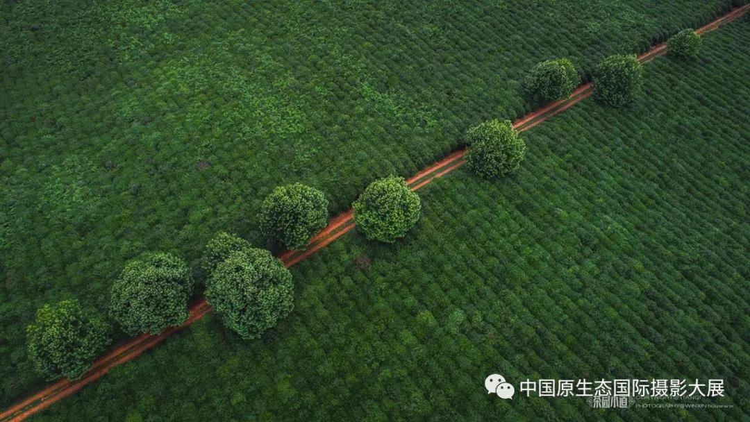 贵州摄影人 | 《镜头下的贵州之魅》