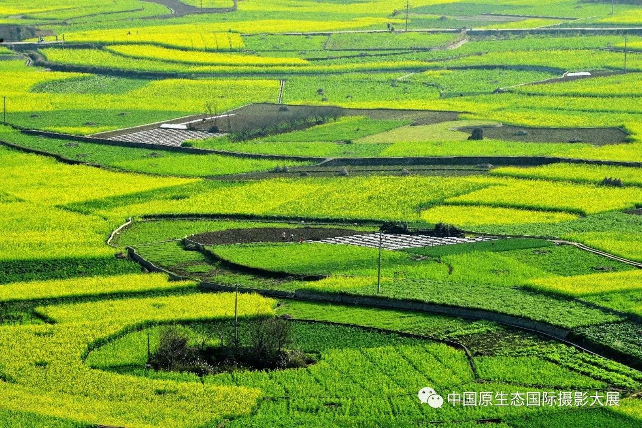 春到万峰林